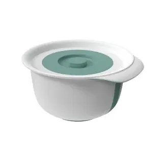 Rotho Rührschüssel Fresh 4 l mit Zusatzbehälter 1,2 l mistletoe grün