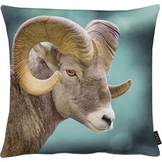 APELT Dekokissen 5881 46 x 46 cm Grün/Braun