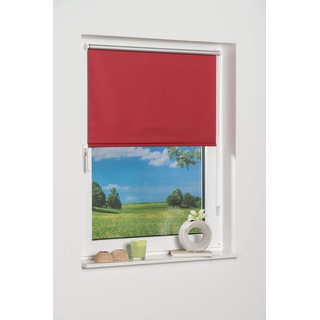 K-HOME Klemmfix-Minirollo 60150 (B:H) Rot Verdunklung, Stoff, 60 x 150 cm