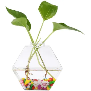 Glasvase,Hängende Glasvase,Hydroponischer Behälter,Hängende Pflanzenvase,Glaspflanzenvase - Transparent