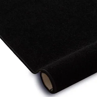 RugsX Teppichboden 250 x 500 cm Schwarz