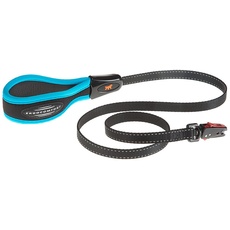 Ferplast Hundeleine ERGOFLUO Matic, Hundeleine für Kleine Hunde, Innovativer Karabiner mit Magnetmechanism, Ergonomisch Gepolsterter Griff, aus Nylon, 120 cm, Blau