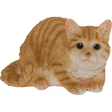 Bild My Flair Katze, orange/weiß gestreift