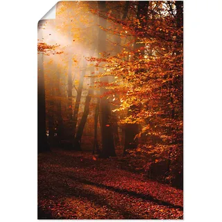 Artland Wandbild "Sonnenaufgang im Herbst" Wald 1 Stk. tlg. als Leinwandbild, Poster in verschied. Größen, farbe bild(er): goldfarben