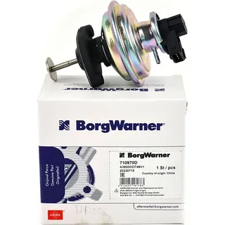 BorgWarner (Wahler) WAHLER AGR-Ventil pneumatisch, mit Dichtung