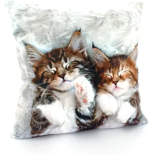 WECKBRODT Kissen "Katzen" 40 x 40 cm Mehrfarbig