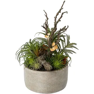 Creativ green Künstliche Zimmerpflanze »Tillandsien-Mix in Zementschale«, grün,