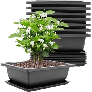 8er-Set große 23 x 17 x 8 cm Bonsai-Teller mit Kunststoff-Bonsai-Beeten geeignet für Gärten, Innenhöfen, Büros, Wohnzimmer, Balkone (schwarz) - Bunt