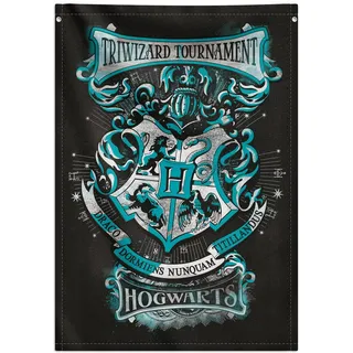 Grupo Erik WandDeko Rollbild Harry Potter Hogwarts Häuser Kakemono aus Stoff Poster 70 x 100 cm - Offizielles Lizenzprodukt