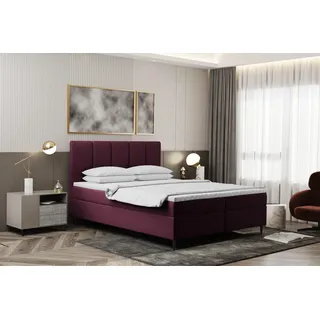 Kaiser Möbel Boxspringbett 120x200cm mit bettkasten und matratze+topper, Schlafzimmerbett POEL Violett - Dunkelviolett