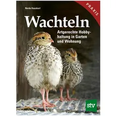 Wachteln