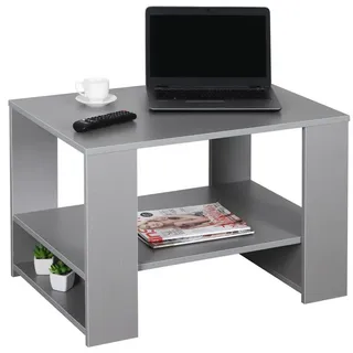 Ricoo Couchtisch mit Stauraum Wohnzimmertisch Holz WM090-PL Coffee Table 72 x 50 x 50 cm Tisch Wohnzimmer Sofatisch klein Couch Platingrau