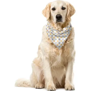 ABAKUHAUS Jahrgang Haustier Bandana, Shabby Farbige Punkte, 55x55 cm, Orange Weiß Kadett-Blau - Orange