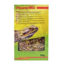 Lucky Reptile - Flower Mix