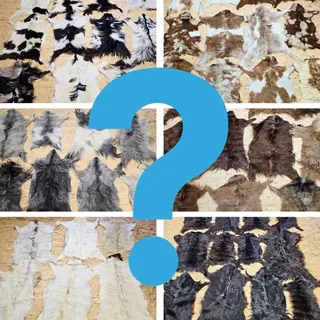 Ziegenfell Zickelfell kein Geruch | natürliche Farben | Fellteppich - 80cm-100cm lang 1.Wahl