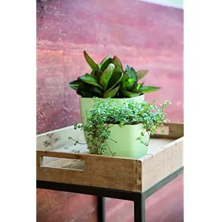 Nicoli 1313sa Origin Decor Spritzguss Verve Vase, quadratisch, Salbei, 13 cm