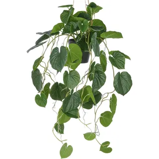 Kunstpflanze CREATIV GREEN "Hängende Peperomia caperata", grün, H:70cm, Kunststoff, Kunstpflanzen, Kunstpflanze, mit üppigen Ranken