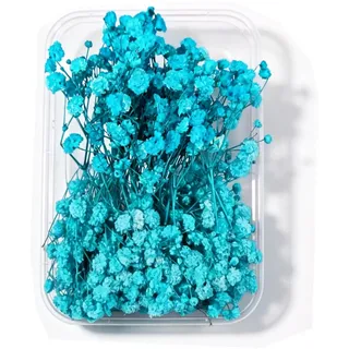 Schleierkraut Getrocknet 15cm Trockenblumen Zum Basteln - 12 Stück Getrocknete Blumen, Türkisfarbene Baby’s Breath Trockenblumen Deko Echte Natur, für DIY, Hochzeitsdeko, Haarschmuck, Wohnkultur
