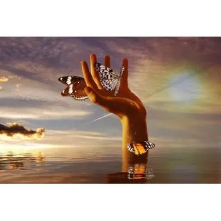 Papermoon Fototapete »Schmetterlinge zähmen«, bunt