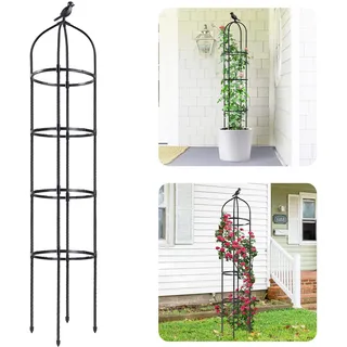 Idzo Obelisk-Rankhilfe aus Metall für Kletterpflanzen im Freien, 15 cm hoch, 177,8 cm rostfrei, Robustes Stahlrohr mit Kunststoffbeschichtung für Garten und Außenbereich, 1 Stück