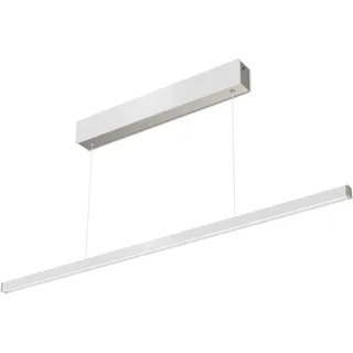 EVOTEC LED Pendelleuchte "Orix", Energieeffizienz: F, weiß (nickelfarben, weiß), 1 Stk., Leuchten, Color Control, 6-Kanal Fernbedienung, LED Pendelleuchte