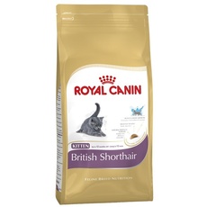 Bild von Kitten British Shorthair 400 g