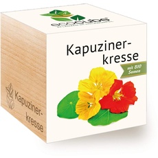 Feel Green Ecocube Kapuzinerkresse, Bio Zertifiziert, Nachhaltige Geschenkidee (100% Eco Friendly), Grow Your Own/Anzuchtset, Pflanzen Im Holzwürfel, Made in Austria