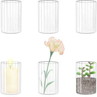 Sahallo kleine Vasen 6 Stück für tischdeko Glaszylinder mini Blumenvase Gestreift 10 cm kleine Glasvase Set für Blumen als Tischdekoration Gastgeschenke Hochzeitsdekoration (10 cm Vasen Set)