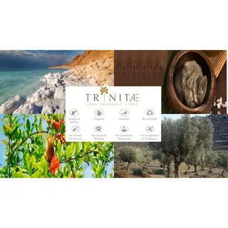 Nachtmann Vorteilsset 2 x 1 Glas/Stck Vase 258/17/33cm Sculpture 101982 und Geschenk + Spende - Creme