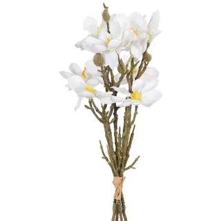 BigBuy Home Blumenstrauß, Weiß, Grün, 37 x 20 x 41 cm, Magnolie