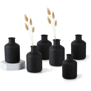 Sziqiqi Kleine Schwarze Bud Vasen: Metall Mini Blumenvase Satz von 6 Dekorative Zylinde Vasen für Trockenblumen Moderne Matt Flower Vase für Wohnzimmer Esstisch Küche Bad Schlafzimmer