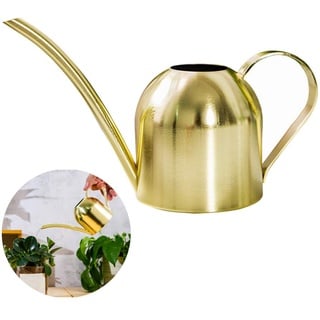 Gießkanne aus Edelstahl, klein, lange Öffnung, Gießkanne für Haus, Innen- und Außenbereich, Garten, Sukkulenten, 500 ml (Gold)