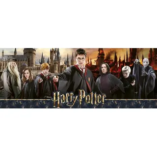 Nathan Puzzle 1000 Teile – Der Zaubererkrieg – Harry Potter – Erwachsene und Kinder ab 14 Jahren – Premium-Puzzle – Meine Helden Kollektion – 12000350