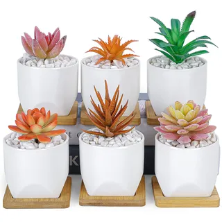 ARTKETTY Kleine weiße Sukkulenten-Übertöpfe, 6er-Pack, 7,6 cm, Keramik-Töpfe für Pflanzen mit Drainage, Bambus-Tablett, Mini-Kaktusblumen-Pflanzenbehälter für Zuhause/Büro Dekor