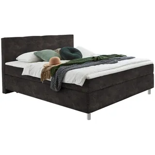 Hom`in Boxspringbett , Graubraun , Kunststoff , H3 , Höhe ca. 18 cm , 100x200 cm , Stoffauswahl, Topper durchgehend, in verschiedenen Größen erhältlich, Matratze in verschiedenen Härtegraden erhältlich, Topperauswahl, Kopfteilauswahl , Schlafzimmer, Betten, Einzelbetten