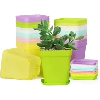 24 Stück kleine Kunststoff-Blumentöpfe 7 cm quadratisch mit Untersetzern und Löchern - 6 Farben - für drinnen und draußen