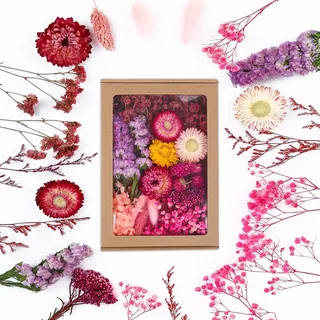 JULBEAR Getrocknete Blumen, Trockenblumen zum Basteln Klein Trockenblumen Deko Rosa Trockenblumen mit Papierbox Dried Flowers für Heimwerken Harz Scrapbooking Karten Heimdekoration