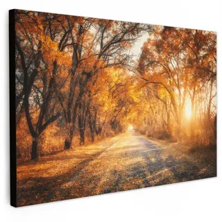 MuchoWow Leinwandbild Wald - Herbst - Bäume - Waldweg - Natur XXL 150x100 cm , Bernsteinfarben , Textil , Kiefer , Rechteckig , 150x100 cm , FSC 100% , gerahmt , Bilder & Rahmen, Bilder, Leinwandbilder