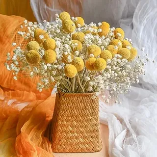 Trockenblumen Deko Set Natürliche Billy -Balls Blume& Schleierkraut Getrocknet Getrocknet Blumen Dried Flowers Pflanzen Blumenstrauß Boho Deko für Wohnzimmer Home Hochzeit Vasen Tischdeko