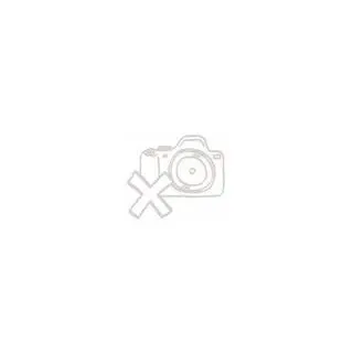 Miele ESW 7010, 700 W, 17,5 l, Drinnen - Schwarz