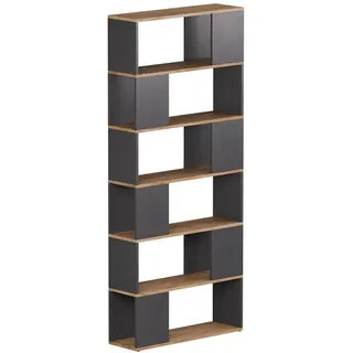 Vicco Raumteiler Eneos Anthrazit/Goldkraft Eiche 80 x 186 cm , Holzwerkstoff , 5 Fächer , Rechteckig , 80x186x24 cm , Wohnzimmer, Raumteiler, Raumtrenner