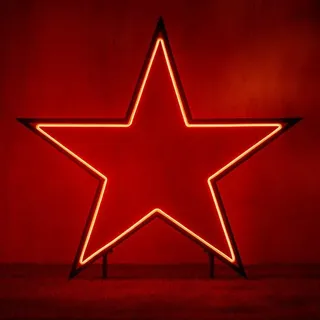 Luca Lighting LED-Gartenstecker Neon Stern 102 cm schwarz LED RGB - Schwarz