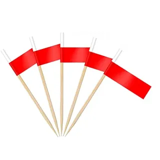 AhfuLife 100 Stück Poland Zahnstocher Flaggen, Polen Deko Fahne Klein Mini Zahnstocher Poland Fähnchen für 2026 WM Euro Fussball Eurovision Cupcake Topper Toothpick Cocktail Party Pub Deko