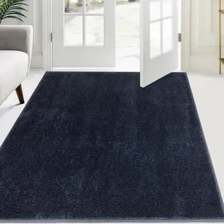 FCSDETAIL Schmutzfangmatte Innen 120 x 180 cm, rutschfeste Sauberlaufmatte, Eingangstürmatte mit Wasserabsorbierenden, Fussmatte Waschbarer Teppich Wohnzimmer Schlafzimmer
