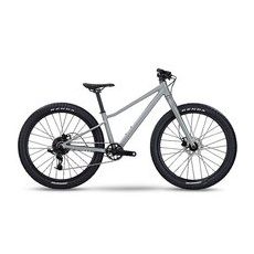 BMC Jugend Mountainbike 24 Twostroke AL grau