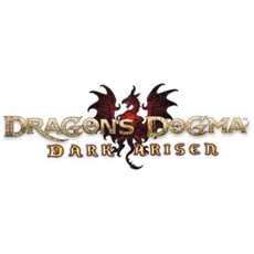 Bild Dragon's Dogma Dark Arisen Switch
