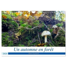 Un automne en forêt (Calendrier mural 2024 DIN A4 vertical), CALVENDO calendrier mensuel