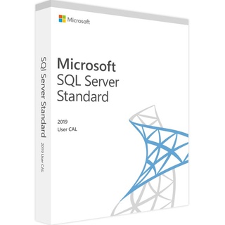 Microsoft SQL Server 2019 | 25 User CALs | Blitzversand