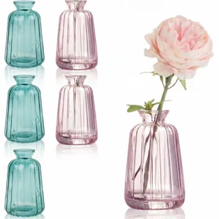 6 Stück Kleine Glasvasen, 6er Set Vintage Mini Glasvase 11×6,5cm | Kleine Vasen Hochzeit, für Tischdeko mit 3 Hellgrün & 3 Rosa