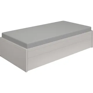 Paidi Jugendbett »FLYNN in verschiedenen Ausführungen, Ausziehbett mit 2 Liegeflächen« Gästebett, Metallgestell inkl. Lattenroste, 2-in-1 Funktionsbett, grau